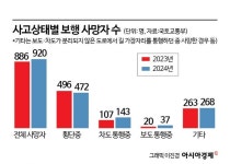 전통시장·병원 근처 횡단보도 녹색불 길어진다…페달 오조작 의무화 추진
