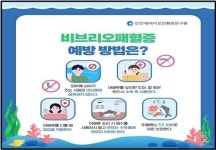 인천 바닷물·갯벌에서 비브리오패혈균 검출 예상…감염 주의