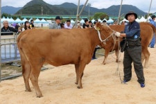 경기도 최고 한우 가린다…제57회 한우경진대회 9월 임진각서 개최