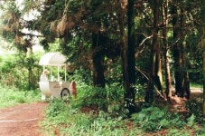 제주서 색다른 축제 찾는다면…와일드오차드 티 페스티벌 강추