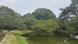 자연·시간이 빚어낸 고즈넉한 정원…담양 명옥헌 원림