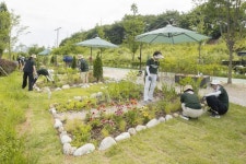 텃밭? 양천구에선 ‘정원 분양’합니다…정원사로 변신한 구청장