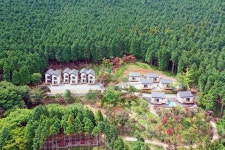 사천 케이블카 자연휴양림 편백림 피톤치드 3배가량 높아