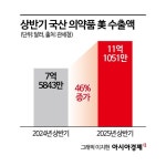 의약품 상반기 美 수출 급증…리스크 해소 나선 K바이오