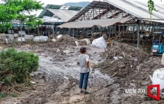 [포토] 가평군 수해 피해, 막막한 심정