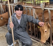 연봉 대신 소똥 냄새를…31세 청년의 축산업 혁명