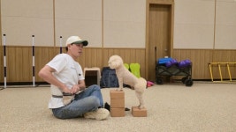 [르포]여행의 주인공은 댕댕이…반려동물 눈 높이 맞춘 호캉스