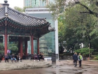 아저씨! 뭐 하시는 거예요? 직원 단속에도…오늘도 탑골공원 향하는 노인들[르포]