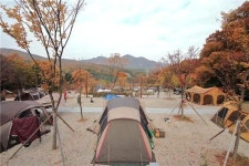 문체부 가족 친화·친환경 등 우수 공공야영장 15곳 선정