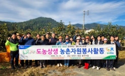 농협 경남검사국·동읍농협, 단감 수확 농촌일손돕기 실시