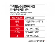 [날씨는 죄가없다]②3초컷 농산물 낙찰…그들만의 리그 도매價