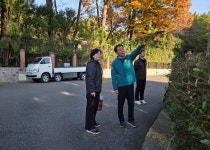 홍순영 성산구청장, 용호운동장 등 수목정비 현장 점검