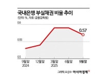 국내은행, 9월 말 부실채권비율 0.57%…전년比 0.04%P ↑