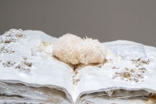 아시아 예술의 미래 엿본다…ACC NEXT 신진 작가전