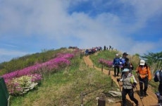 철쭉꽃 흐드러진 봄… 남원으로 고고!!