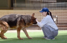 봄코리아 뉴화순센터 | [포토]카라 더봄센터의 한 반려동물과 교감중인 로얄캐닌코리아 임직원