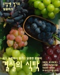 경기관광공사, 송산 포도팜스토리서 포도 체험행사