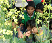 나비떼가 몰려온다 함평으로 떠나보자