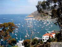 Travel | 미국 속 유럽, 환상의 섬 카타리나 아일랜드