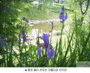 컬처르포 l 초여름 탐방 장소로 딱 좋은 ‘월드컵공원’