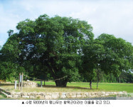 삼등열차 타고 ‘용궁’에 가자