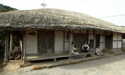 산도 바다도 푸른 섬 청산도의 봄