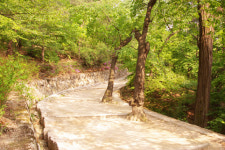 서울 한가운데서 시골길을 걷다 -삼청공원