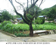 주민들도 모르는 천도교의 성지 ‘수산리’