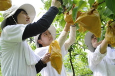 조곡 건지발 마을회관 | 한컴, 충북 보은서 '1사1촌' 농촌돕기 구슬땀