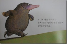 [그림책 다시읽기] 누가 내 머리에 똥 쌌어?