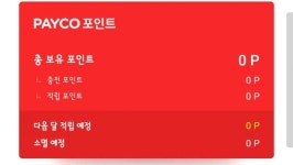 환전 하지 않아도 OK! '페이코' 일본에서 결제 된다