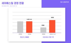 세아그룹은 왜 ESG를 주목할까...지배구조·신사업까지 확정한 중견그룹의 고민은