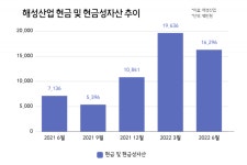 [공시분석]결단 내린 해성산업, 지주사 행위제한 요건 풀어낸다