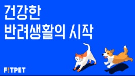동화약품은 왜 반려동물 헬스케어 기업에 투자했을까(feat.핏펫)