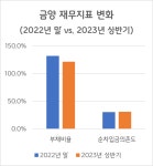 금양, 배터리 자금출혈 재무압박 부메랑될까[넘버스]