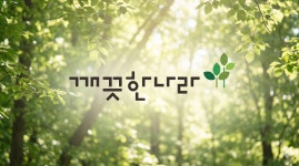 10년 동안 흔들린 깨끗한나라 이익구조…안정 구간 없었던 이유