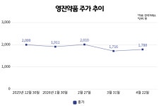 [전쟁 후 공매도]⑤ 영진약품, 10년 내리막 투심 위축 이중고