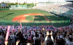[박동희의 현장 속으로] 넥센 “서울돔 홈구장, 전향적 검토 중”