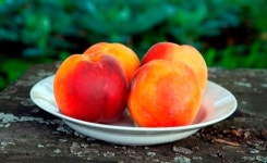 흡연자의 과일 복숭아, 구워 먹으면 더 좋다