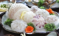 소식이 좋다더니.... 생식능력에 악영향?