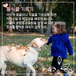 [카드뉴스] 자녀의 섬세한 감성 깨우기