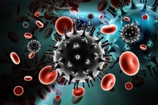질 속 특정 세균, HIV 감염 위험 높인다(연구)