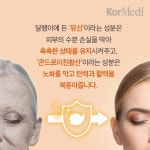 미식가가 사랑한 달팽이, 코덕들도 빠졌다