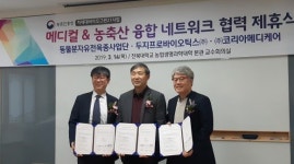 유산균 돼지와 건강 콘텐츠가 만나면?