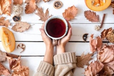 깊어가는 가을에 마시기 좋은 건강 차 5