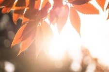 [오늘의 건강] 가을 햇볕이 건강에 좋은 이유