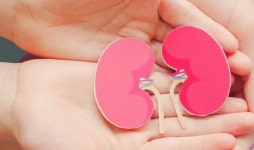 당뇨로부터 신장을 보호하는 방법