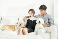 [위드펫+] ‘평생’ 책임 따르는 반려동물, 입양 전 체크리스트