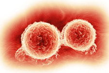 코로나 백신 개발자 2030년까지 암 백신 나온다