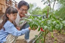 “올핸 텃밭가꾸기 해볼까?” 암위험↓정신건강↑